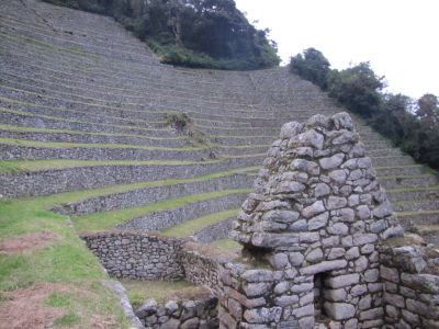 Terraces at Wiñay Wayna